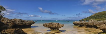 Settlement Beach - Lord Howe Island - NSW (PBH4 00 11716)